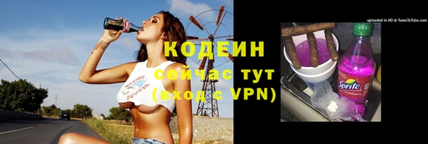 Альфа ПВП Инта
