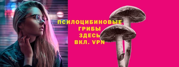 Альфа ПВП Инта