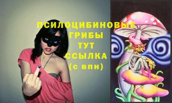Альфа ПВП Инта