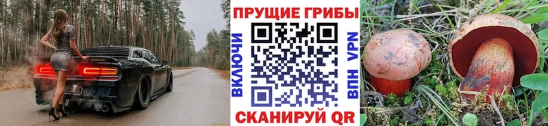 наркота  Димитровград  blacksprut   Псилоцибиновые грибы прущие грибы 